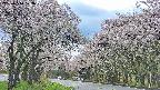takano2-20250510173031.jpg