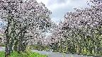 takano2-20250510174032.jpg