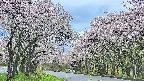 takano2-20250510175031.jpg