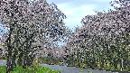 takano2-20250510181032.jpg