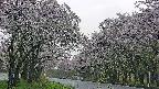 takano2-20250510182028.jpg
