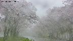 takano2-20250510183027.jpg