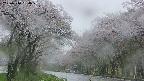 takano2-20250510184029.jpg