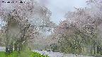 takano2-20250511050031.jpg