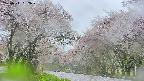 takano2-20250511052027.jpg