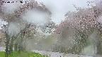 takano2-20250511053031.jpg