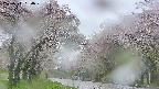 takano2-20250511054030.jpg