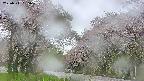 takano2-20250511055030.jpg
