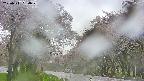 takano2-20250511060030.jpg