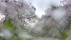 takano2-20250511061028.jpg