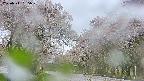 takano2-20250511065030.jpg