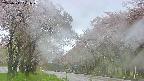 takano2-20250511071030.jpg
