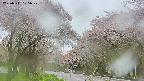 takano2-20250511075029.jpg