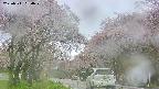 takano2-20250511080030.jpg