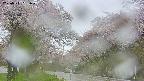 takano2-20250511081030.jpg