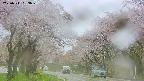takano2-20250511083028.jpg