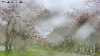 takano2-20250511084030.jpg