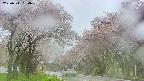 takano2-20250511090029.jpg