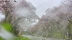 takano2-20250511092030.jpg