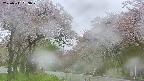 takano2-20250511093031.jpg