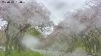 takano2-20250511094030.jpg