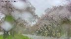 takano2-20250511104031.jpg