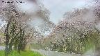takano2-20250511105031.jpg