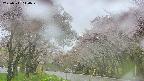 takano2-20250511110030.jpg