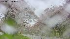 takano2-20250511113030.jpg