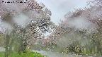 takano2-20250511120030.jpg