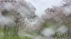 takano2-20250511121031.jpg
