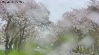 takano2-20250511122031.jpg