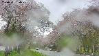 takano2-20250511130030.jpg
