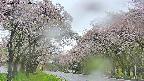 takano2-20250511134028.jpg