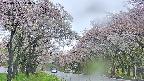 takano2-20250511140029.jpg