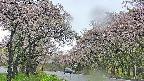 takano2-20250511144031.jpg