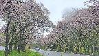 takano2-20250511145031.jpg