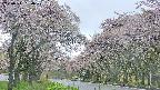 takano2-20250511150030.jpg