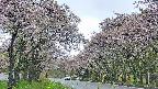 takano2-20250511151031.jpg