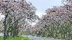 takano2-20250511153031.jpg
