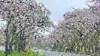 takano2-20250511154031.jpg