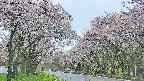 takano2-20250511155029.jpg