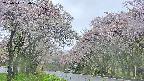takano2-20250511160030.jpg