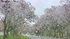 takano2-20250511162030.jpg