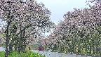 takano2-20250511172031.jpg