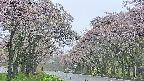 takano2-20250511180031.jpg