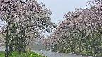 takano2-20250511182030.jpg