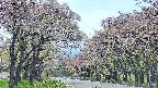 takano2-20250514132032.jpg