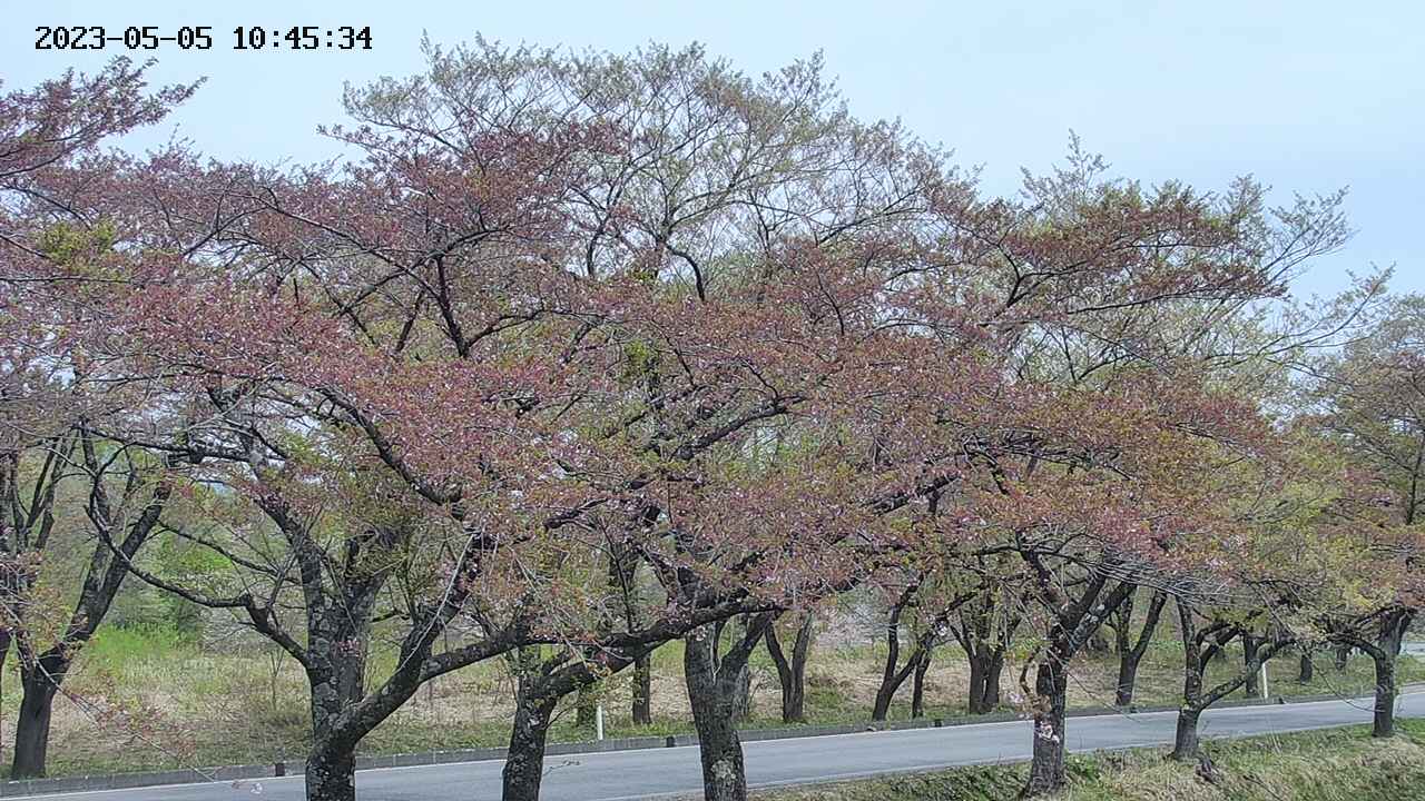 takano3-20230505104536.jpg