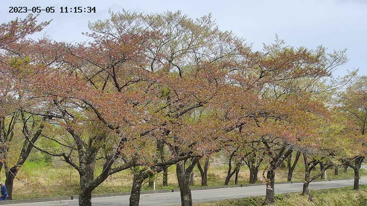 takano3-20230505111535.jpg